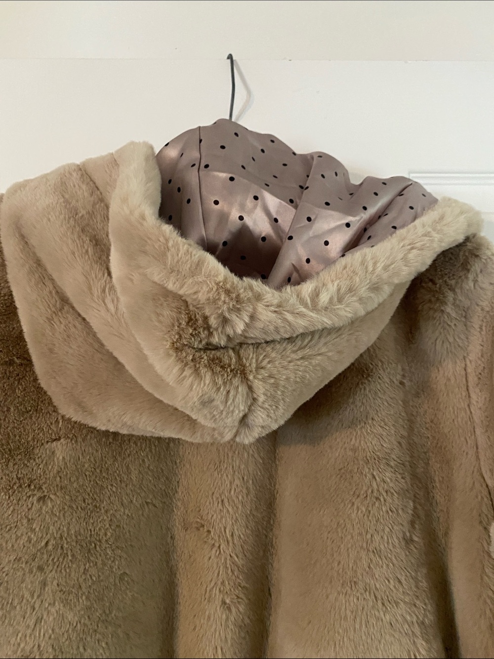 Ashley By 26 International Plush Hooded Teddy Coat in Light Taupe - Picture 5 of 7